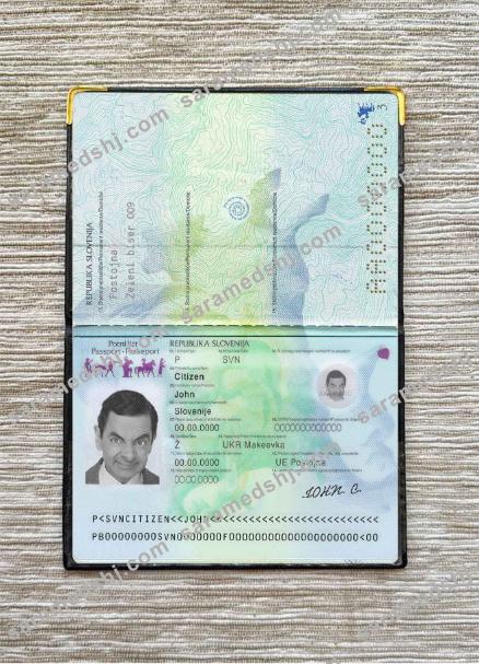 Slovenia passport photo look